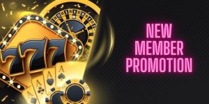 New member promotion - The opportunity 1 no 2 for Newbie