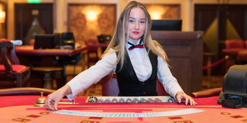 What is the concept of the dealer division?